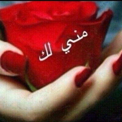 علاوي القطيف